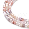 Gradient Color Electroplate Glass Bead Strands GLAA-E042-05-B08-4