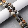 Natural Ocean Jasper Beads Strands G-C179-A09-03-1