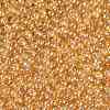 TOHO Round Seed Beads SEED-TR11-0103B-2