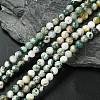 Natural Tree Agate Beads Strands X-G-K194-6mm-02-1
