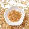 Glass Seed Beads SEED-H002-A-A624-2