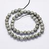 Electroplate Natural Druzy Agate Beads Strands G-G708-8mm-04-2
