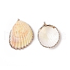 Shell Pendants SHEL-P075-03-2