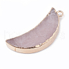 Electroplate Natural Rose Quartz Pendants X-G-S329-014C-1