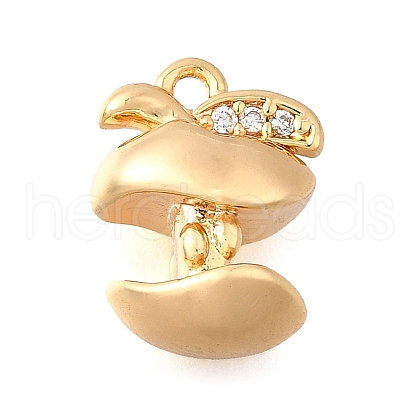 Brass Micro Pave Cubic Zirconia Charms KK-C096-06G-1