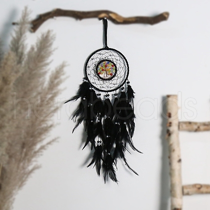 Iron & Resin Imitation Pearl Woven Web/Net with Feather Pendant Decorations PW-WG59818-03-1