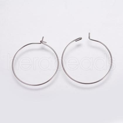 316 Surgical Stainless Steel Hoop Earrings Findings STAS-K146-039-25mm-1