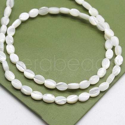 Natural White Shell Mother of Pearl Shell Beads BSHE-CJC0002-05-1
