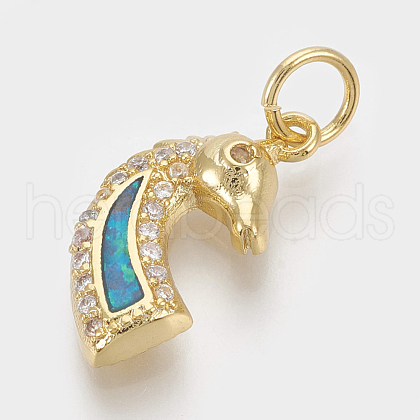 Brass Micro Pave Cubic Zirconia Charms ZIRC-Q018-049G-1