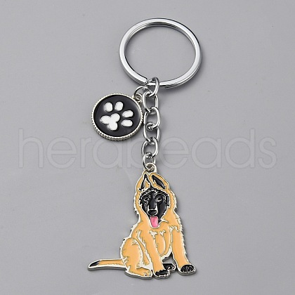 Alloy Keychain KEYC-SZC0006-01D-1