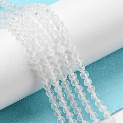 Natural Rainbow Moonstone Beads Strands G-G0005-C02-1