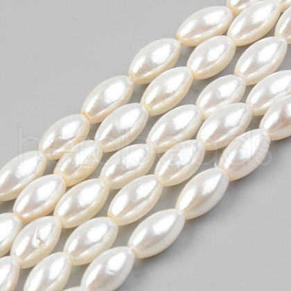 Natural Freshwater Shell Beads Strands SHEL-T017-12-1