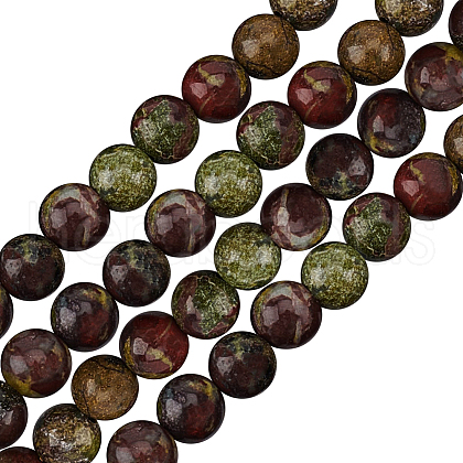 Olycraft 2 Strands Natural Dragon Blood Jasper Beads Strands G-OC0005-09-1