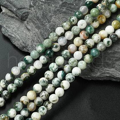 Natural Tree Agate Beads Strands X-G-K194-6mm-02-1