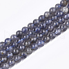 Natural Iolite/Cordierite/Dichroite Beads Strands G-T108-32B-1