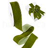 10 Yards Single Face Velvet Ribbons SRIB-WH0011-154-1