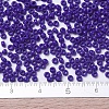 MIYUKI Round Rocailles Beads X-SEED-G007-RR0414-4