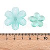 Transparent Acrylic Beads OACR-H039-04G-3