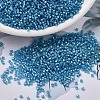 MIYUKI Delica Beads SEED-X0054-DB1709-1