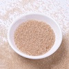 MIYUKI Delica Beads SEED-X0054-DB1410-2
