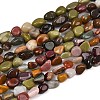 Natural Alashan Agate Beads Strands G-Q060-E19-02-2