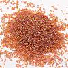 8/0 Round Glass Seed Beads SEED-J011-F8-171-2