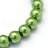 Baking Painted Pearlized Glass Pearl Round Bead Strands HY-Q003-6mm-13-2