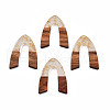 Transparent Resin & Walnut Wood Pendants RESI-N025-029-A01-2