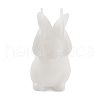 Rabbit DIY Silicone Rabbit Ornaments Molds SIMO-R010-03A-2