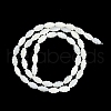 Natural Freshwater Shell Beads Strands BSHE-H109-02-3