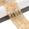 Natural Yellow Quartz Beads Strands G-M403-A24-02-2