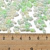 Glass Seed Beads SEED-K009-02B-20-4
