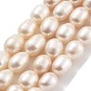 Natural Cultured Freshwater Pearl Beads Strands PEAR-P062-18-2