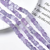 Natural Amethyst Beads Strands G-S364-087-4