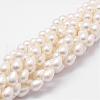 Rainbow Plated Shell Pearl Beads Strands BSHE-L027-01-6x9-1