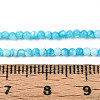 Dyed Natural Trochid Shell/Trochus Shell Beads Strands SSHEL-T017-13B-4