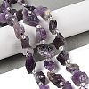 Natural Amethyst Beads Strands G-Q023-F01-01-2