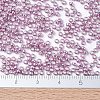 MIYUKI Round Rocailles Beads X-SEED-G007-RR1061-4