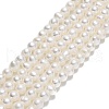 Natural Cultured Freshwater Pearl Beads Strands PEAR-F018-13F-01-1