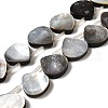 Natural Black Lip Shell Beads Strands BSHE-D300-08-1