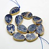 Flat Teardrop Natural Sodalite Bead Strands G-N0119-06-1