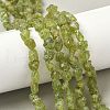 Raw Rough Natural Peridot Beads Strands G-M453-D12-1