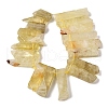 Natural Lemon Quartz Beads Strands G-S386-D20-3