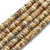Natural Picture Jasper Beads Strands G-F631-A02-1