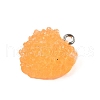 Resin Pendants FIND-U031-11B-P-2