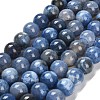 Dyed Natural Agate Beads Strands G-G203-10M-12mm-2