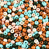 Baking Paint Glass Seed Beads SEED-N007-02I-3