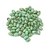 60Pcs 10G Baking Paint Glass Seed Beads GLAA-V001-06A-1