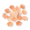 Natural Sea Shell Carved Leaf Charms SSHEL-C013-02C-1