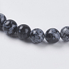 Natural Snowflake Obsidian Beads Strands X-G-G515-6mm-01-3